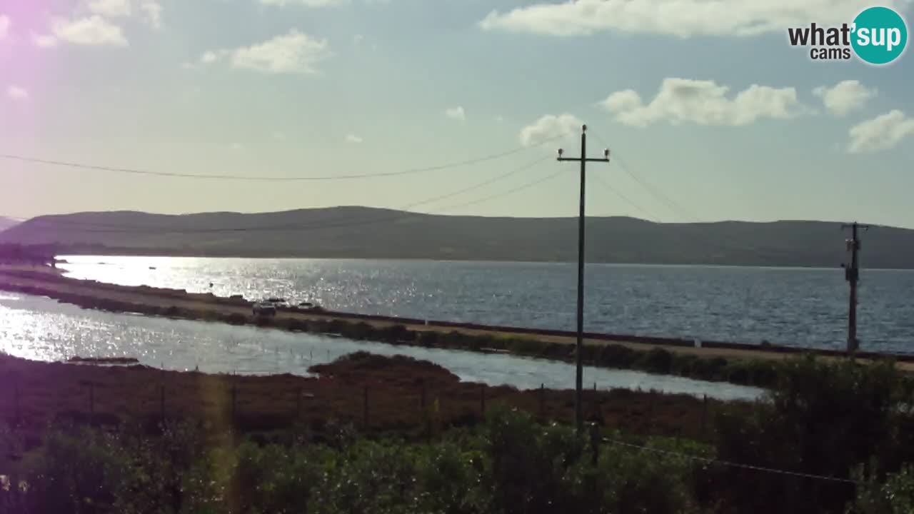 Playa Porto Botte webcam | Cerdena