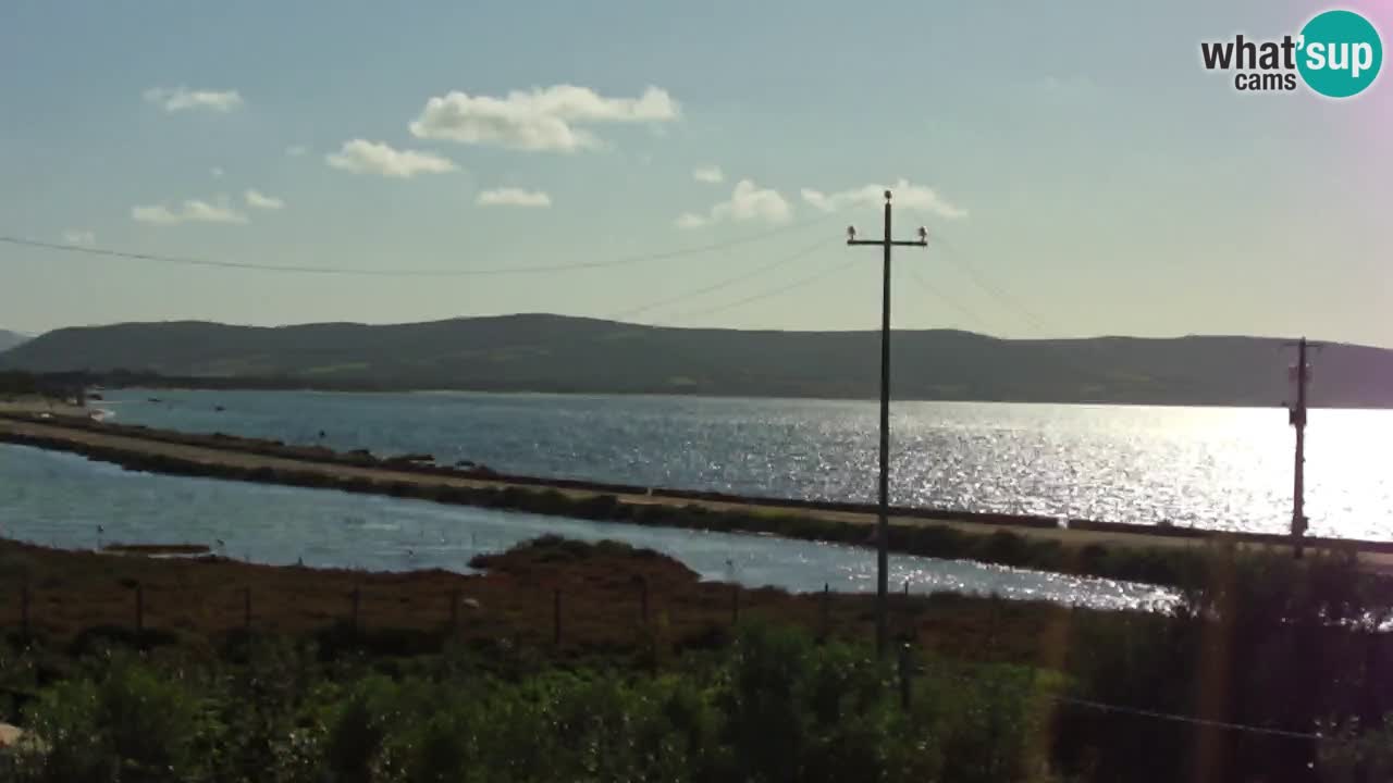 Strand Porto Botte webcam | Sardinien