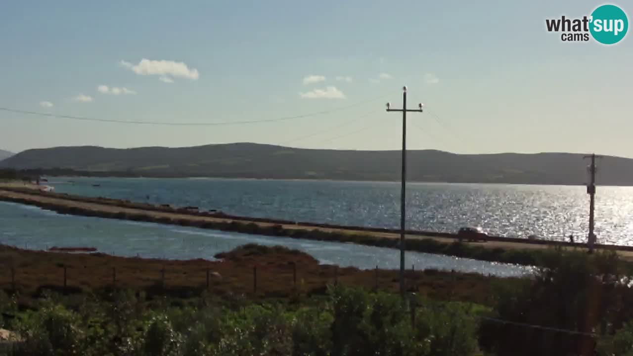 Webcam Porto Botte spiaggia | Sardegna