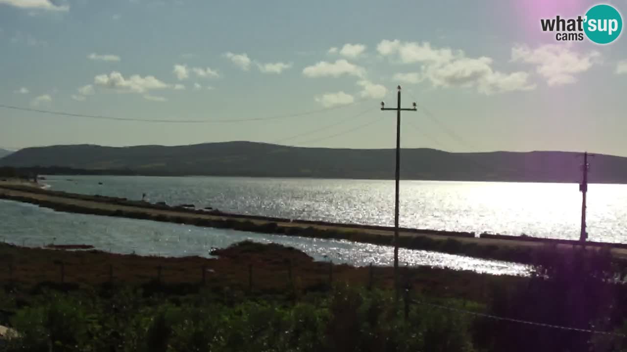 Playa Porto Botte webcam | Cerdena