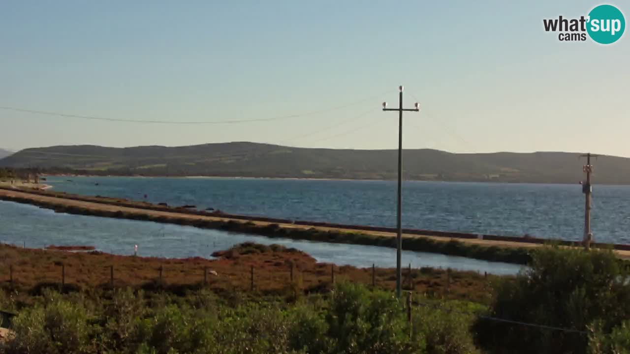 Playa Porto Botte webcam | Cerdena