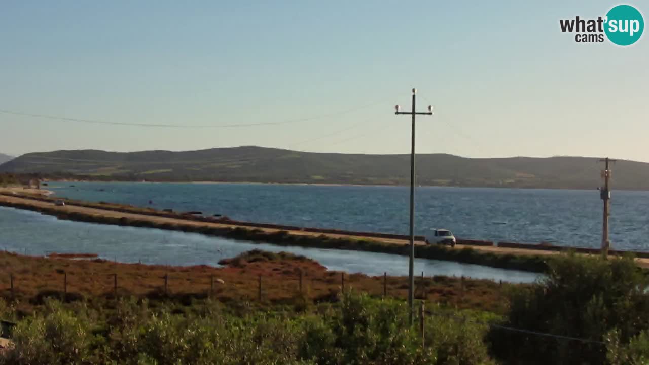 Webcam Porto Botte spiaggia | Sardegna