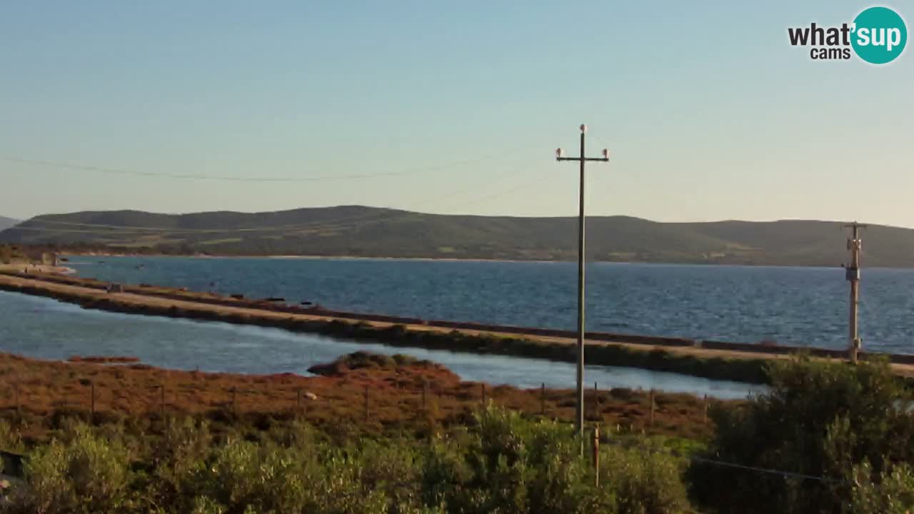 Webcam Porto Botte spiaggia | Sardegna