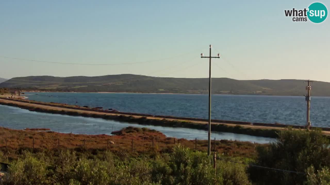 Webcam Porto Botte spiaggia | Sardegna