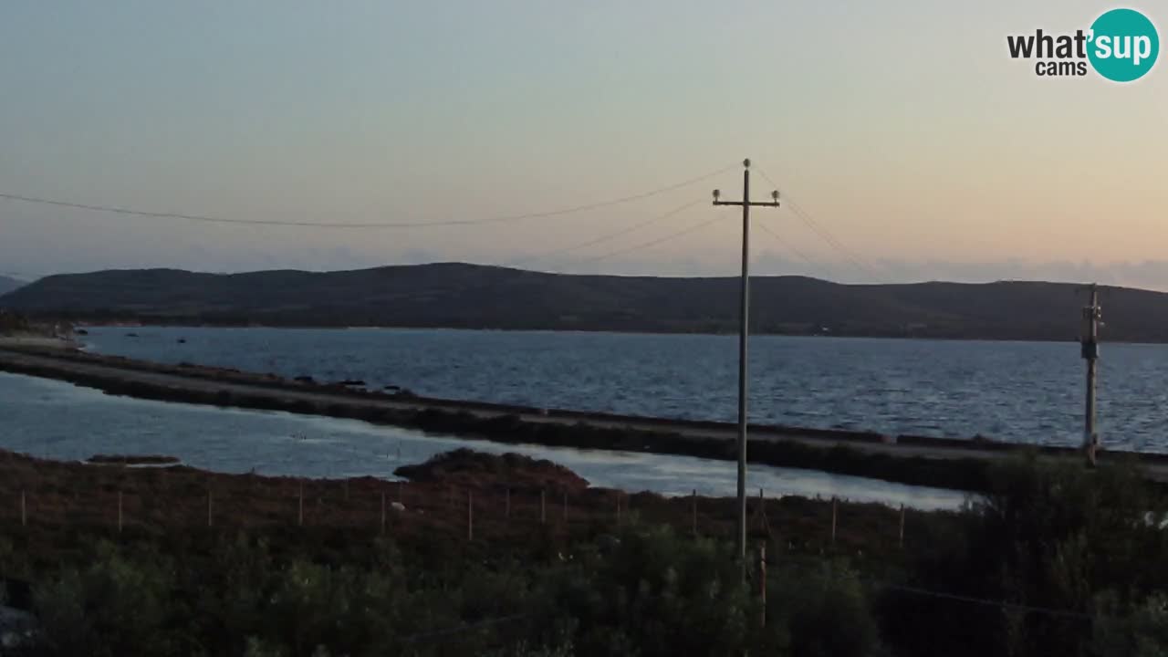 Strand Porto Botte webcam | Sardinien