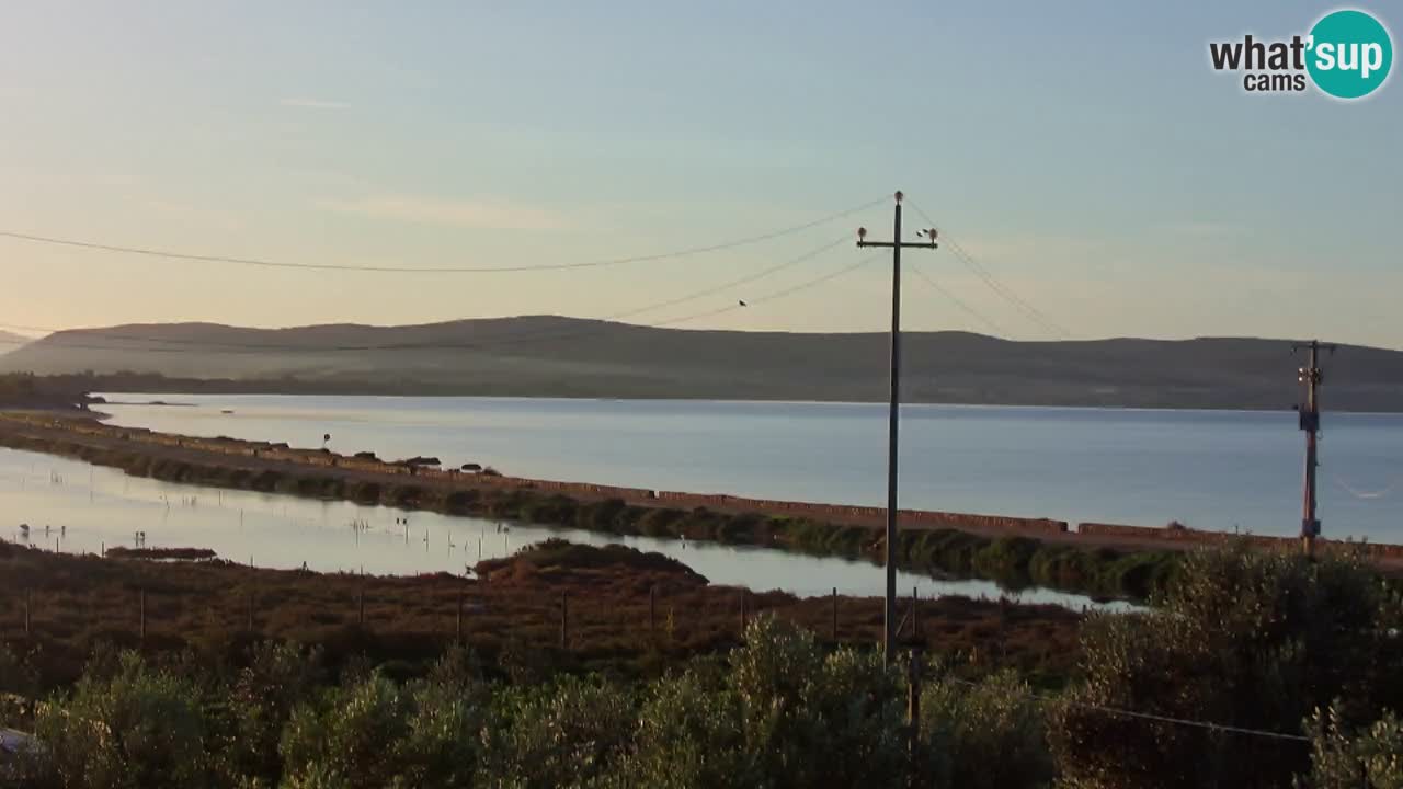 Playa Porto Botte webcam | Cerdena