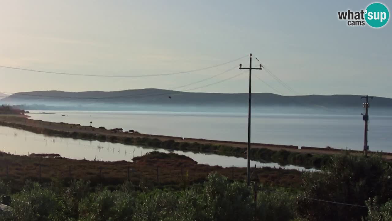 Strand Porto Botte webcam | Sardinien