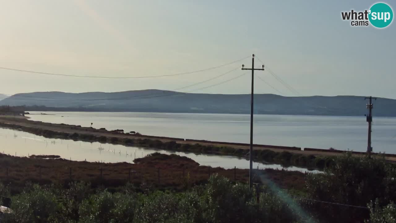 Playa Porto Botte webcam | Cerdena