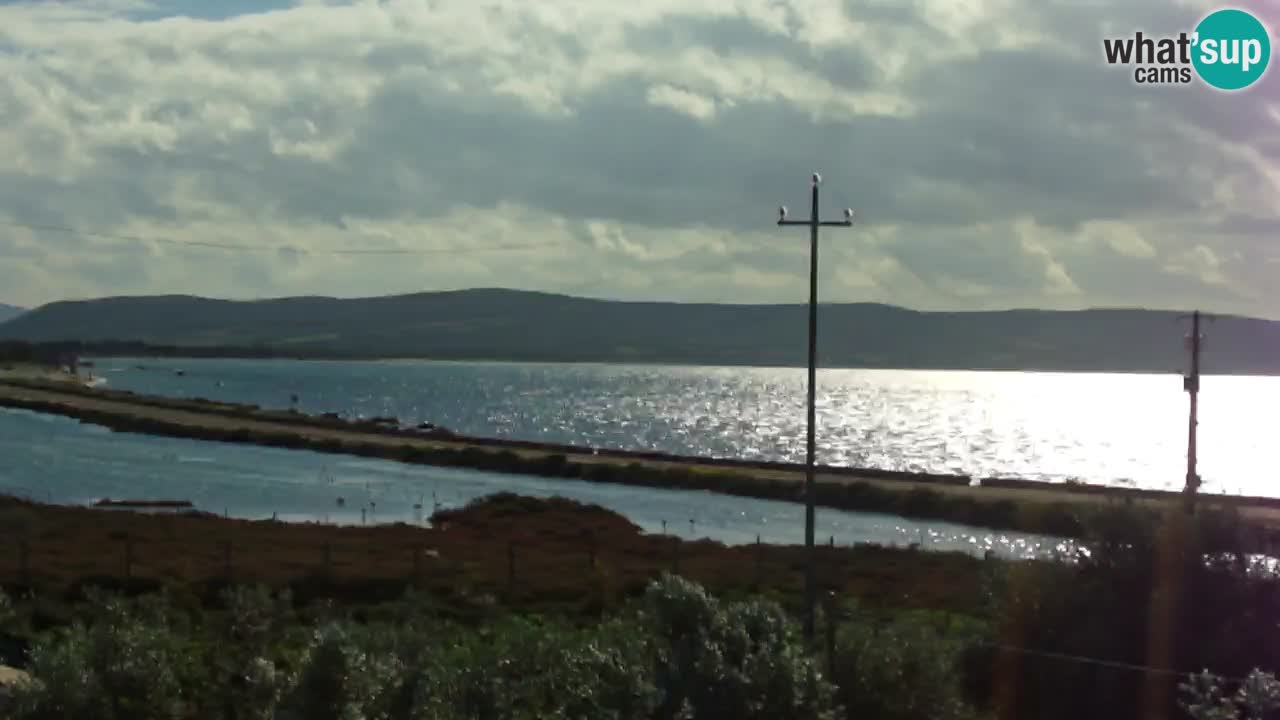 Playa Porto Botte webcam | Cerdena