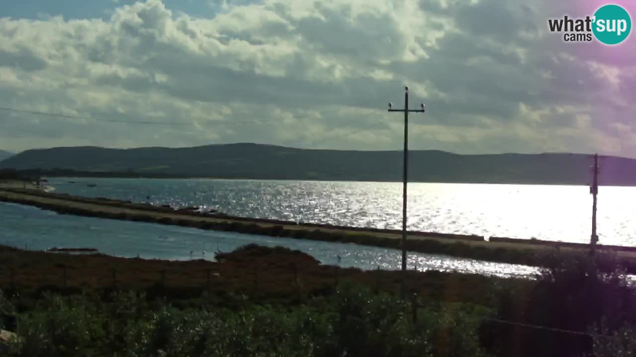 Strand Porto Botte webcam | Sardinien