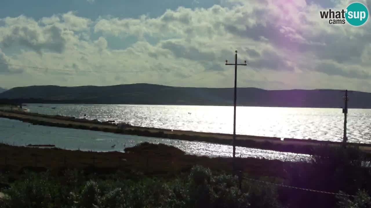 Strand Porto Botte webcam | Sardinien