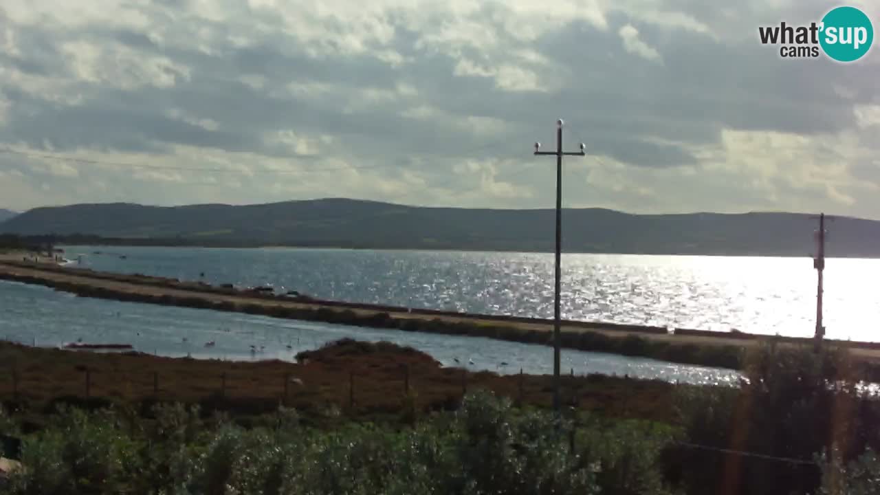 Playa Porto Botte webcam | Cerdena