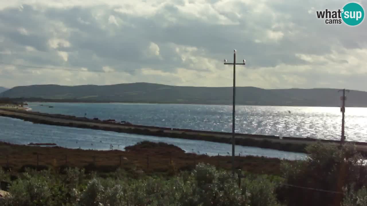 Playa Porto Botte webcam | Cerdena