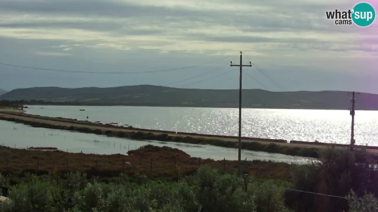 Webcam Porto Botte spiaggia | Sardegna