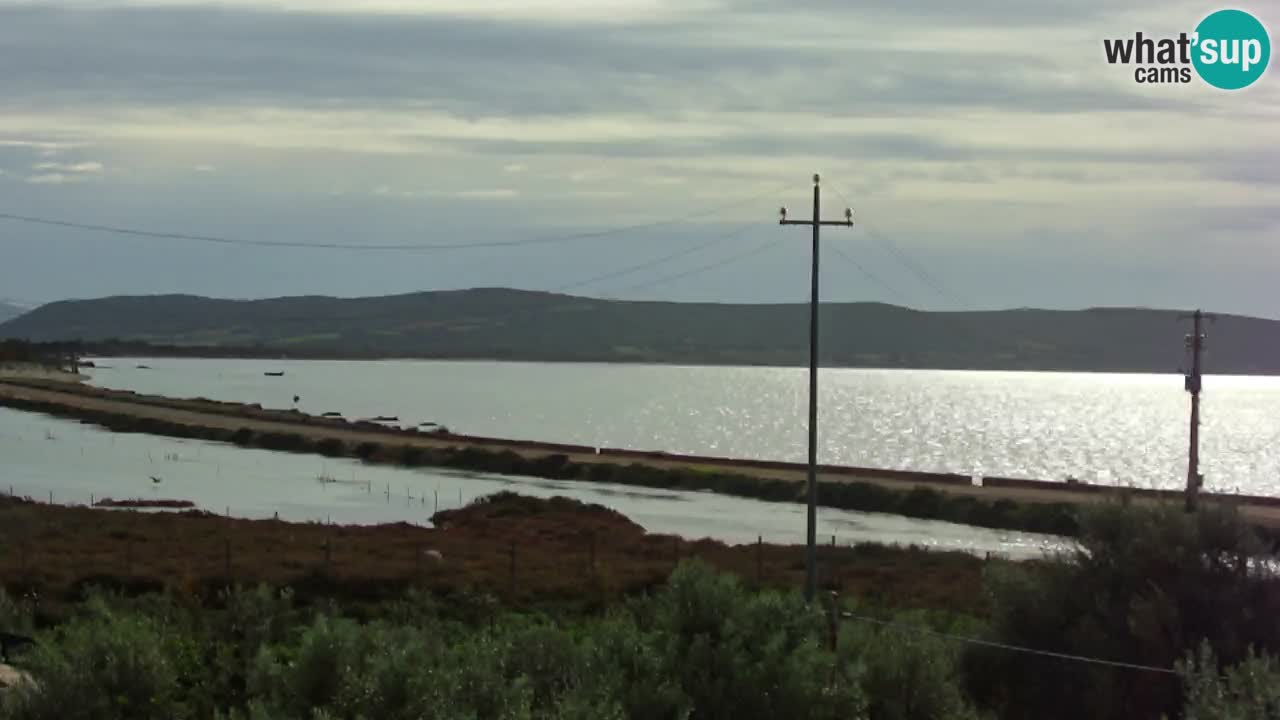 Strand Porto Botte webcam | Sardinien