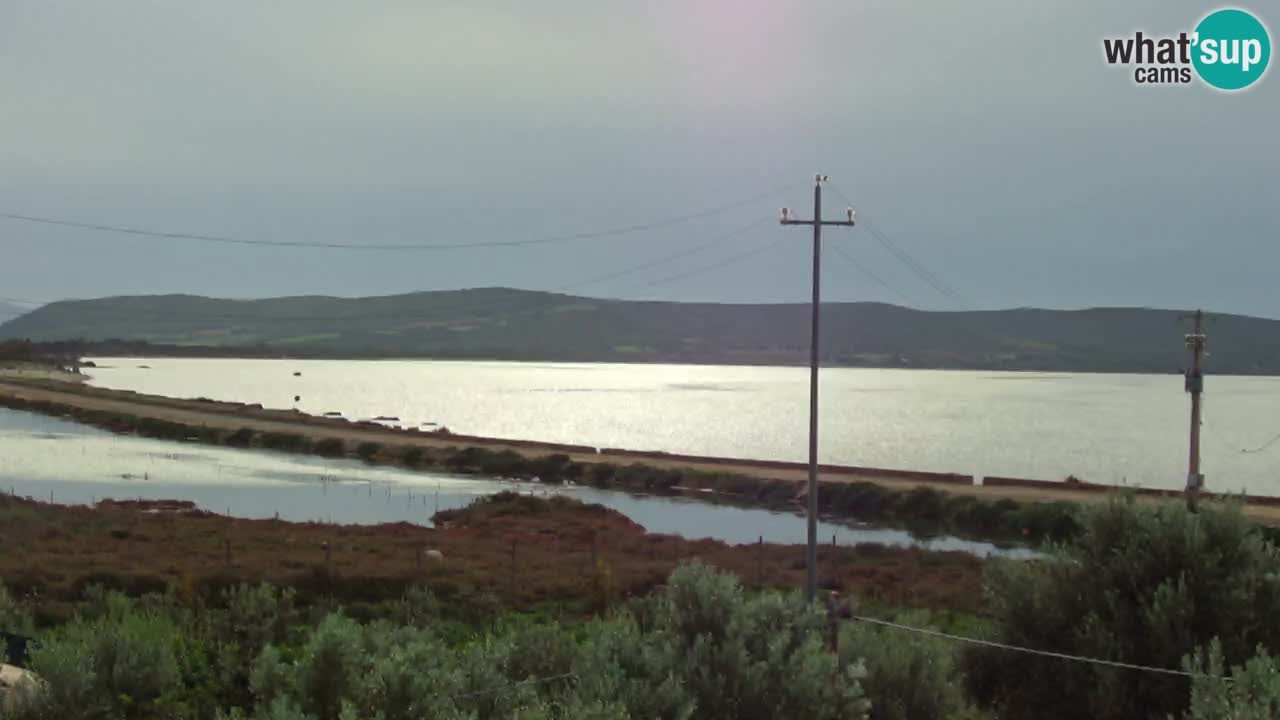 Strand Porto Botte webcam | Sardinien