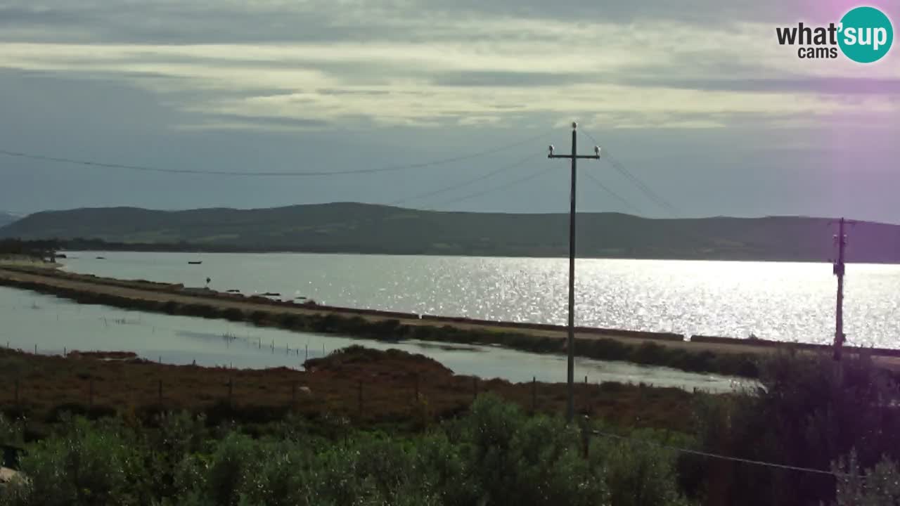 Playa Porto Botte webcam | Cerdena