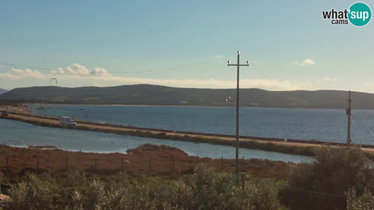 Strand Porto Botte webcam | Sardinien