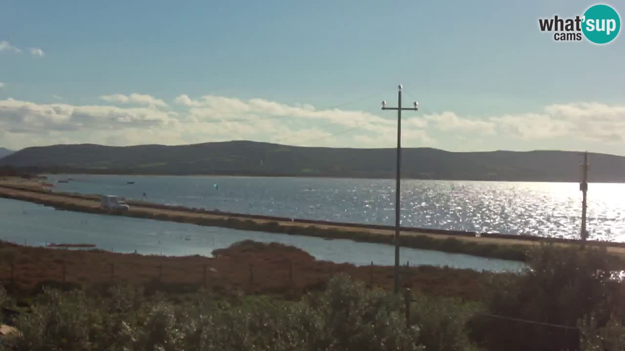 Beach Porto Botte webcam | Sardinia