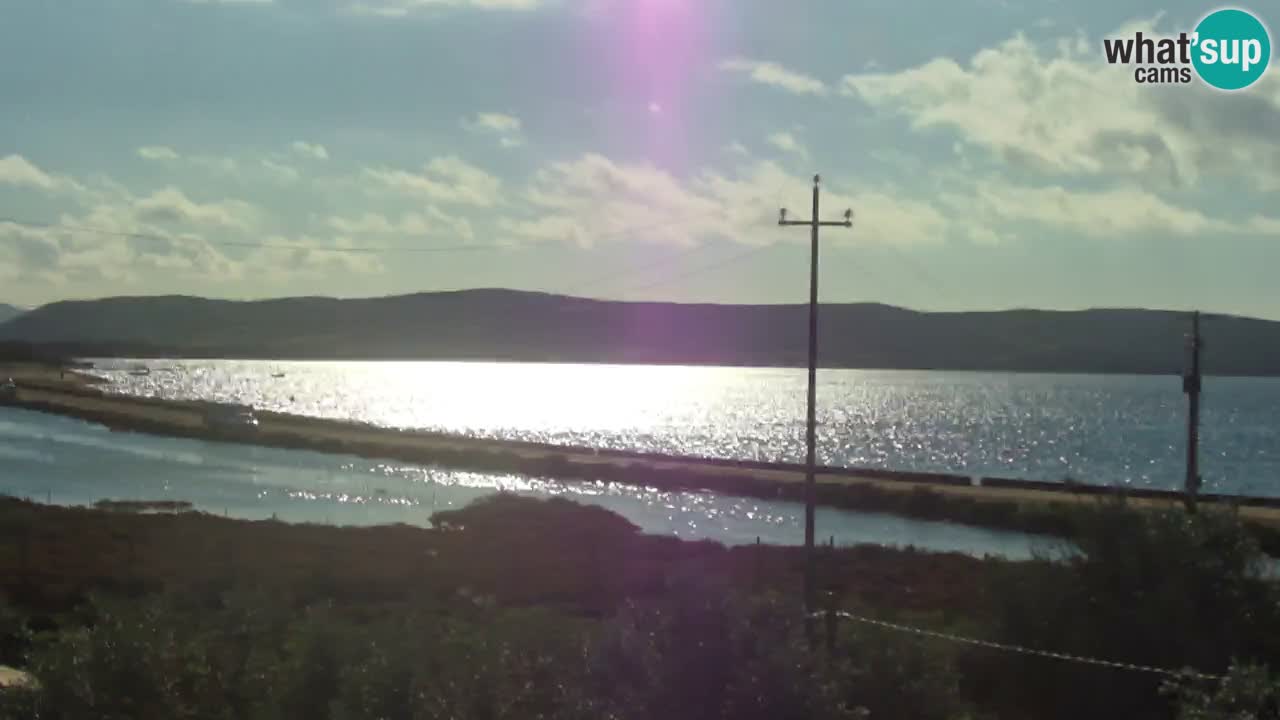 Beach Porto Botte webcam | Sardinia