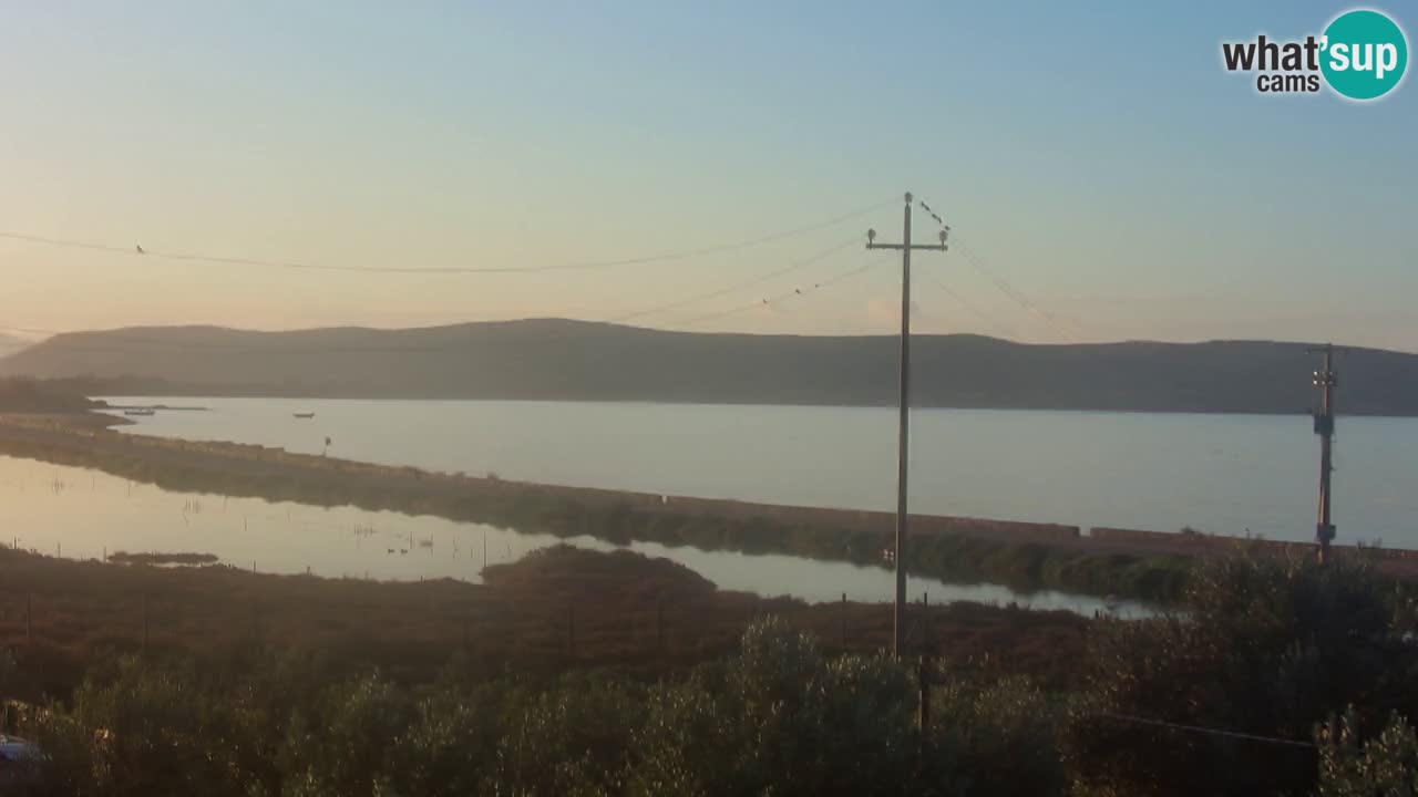 Beach Porto Botte webcam | Sardinia