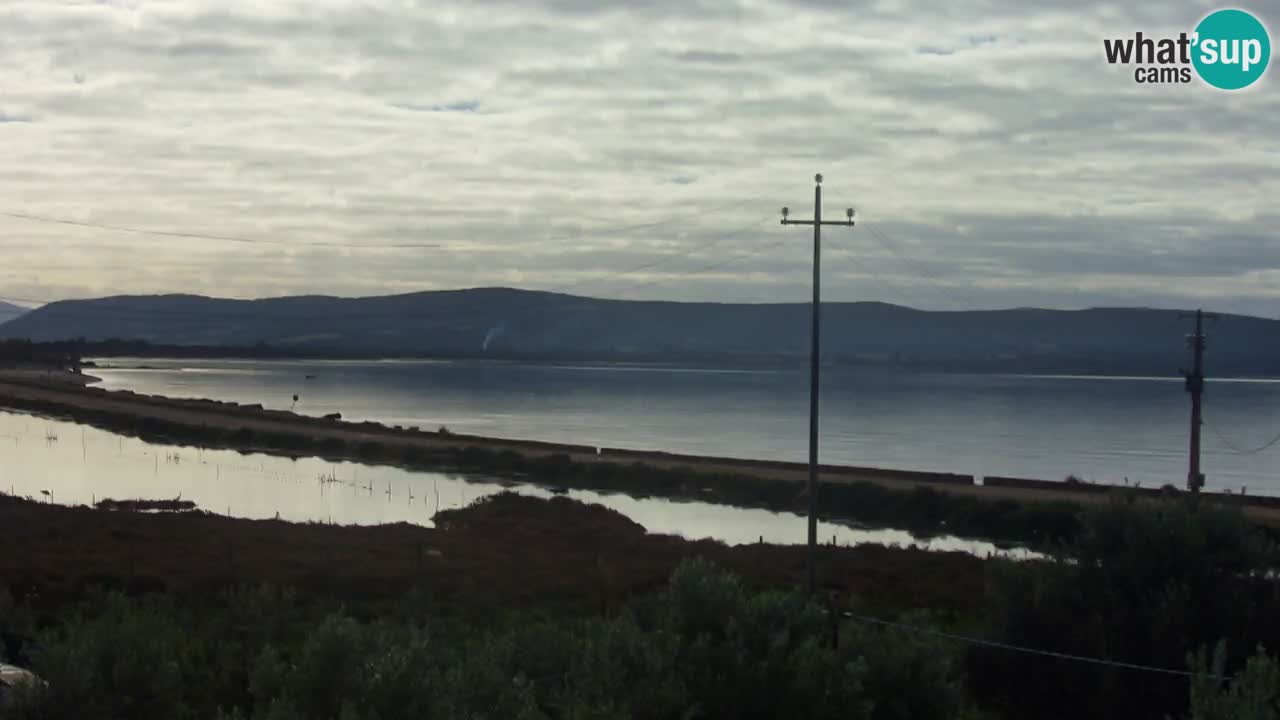 Strand Porto Botte webcam | Sardinien