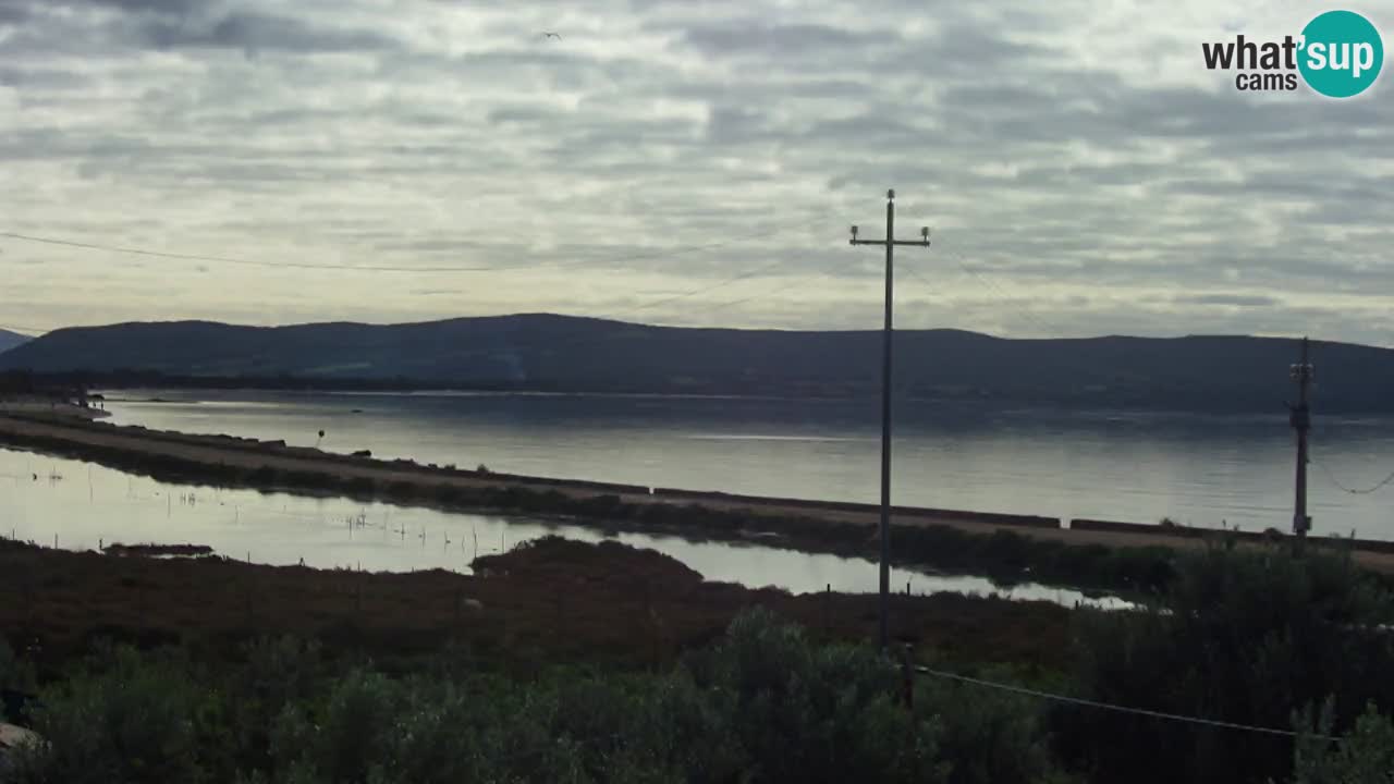 Webcam Porto Botte spiaggia | Sardegna