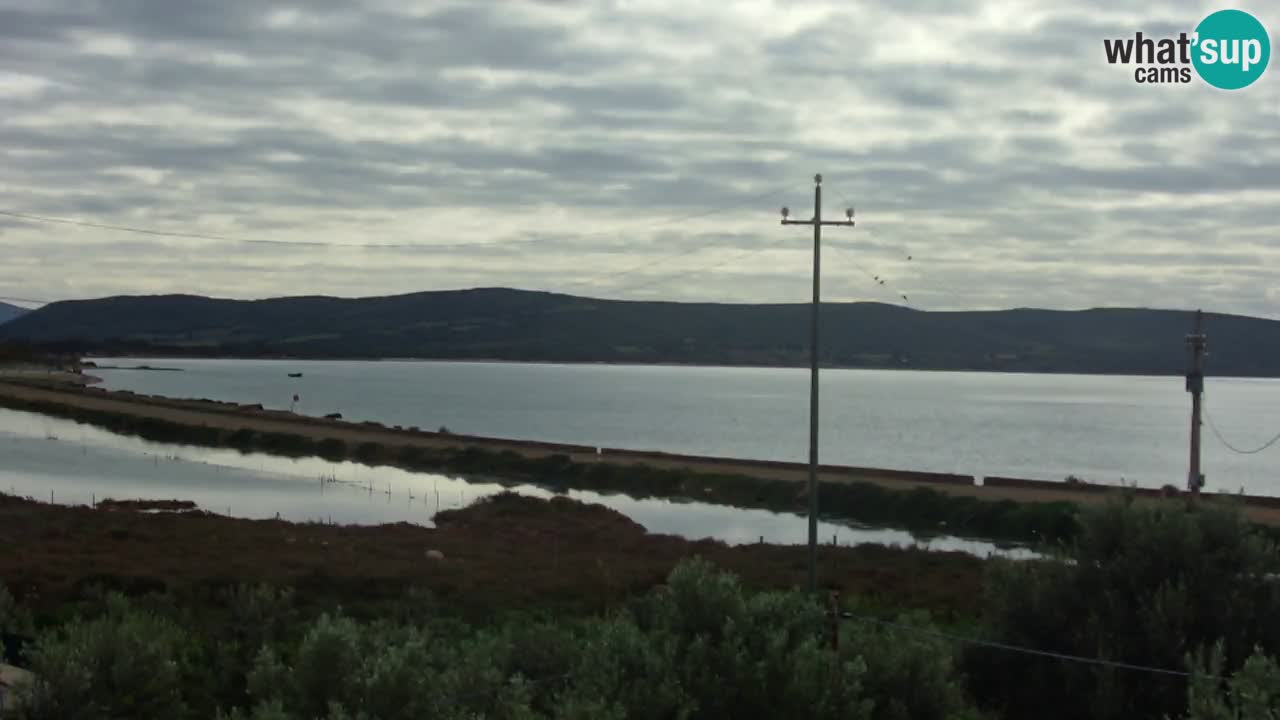 Spletna kamera Porto Botte plaža | Sardinija