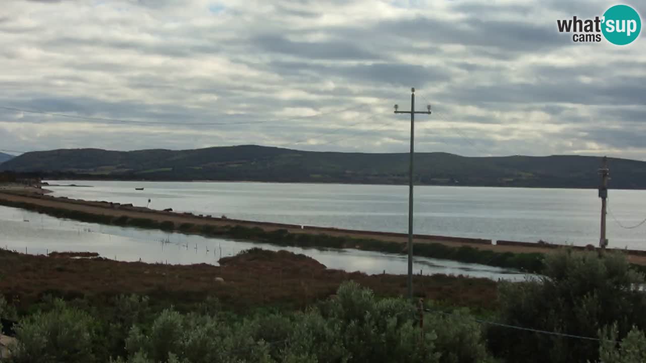 Playa Porto Botte webcam | Cerdena