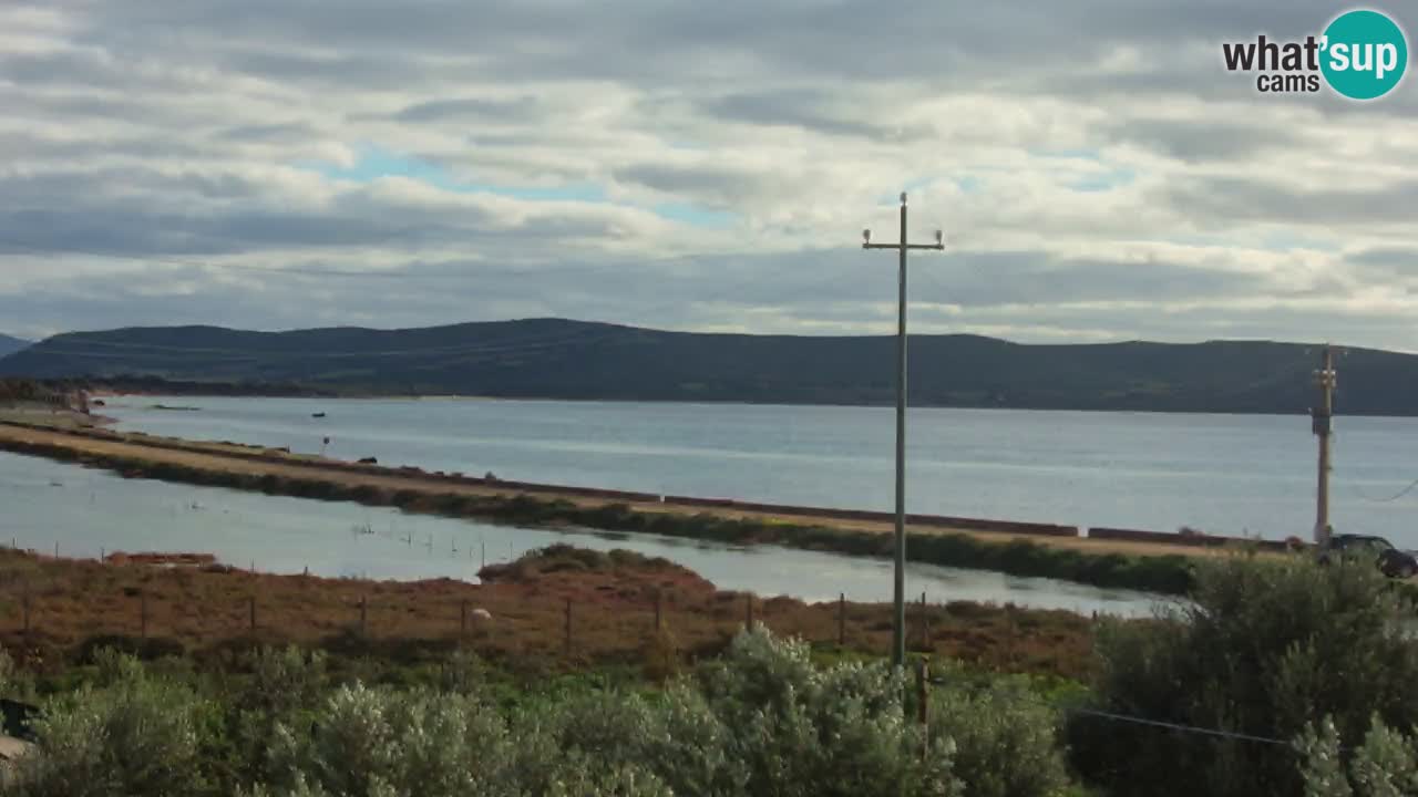 Strand Porto Botte webcam | Sardinien