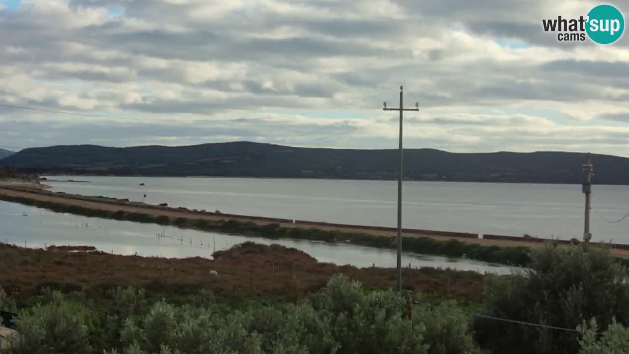 Playa Porto Botte webcam | Cerdena