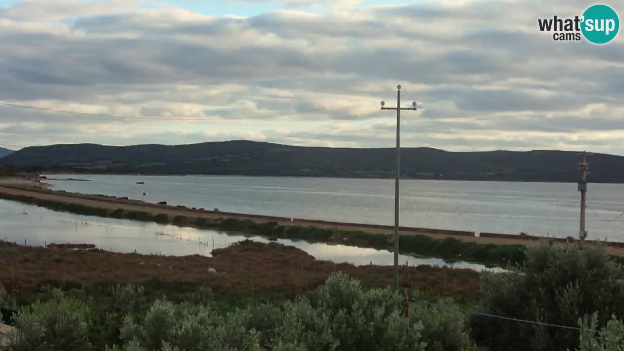 Playa Porto Botte webcam | Cerdena