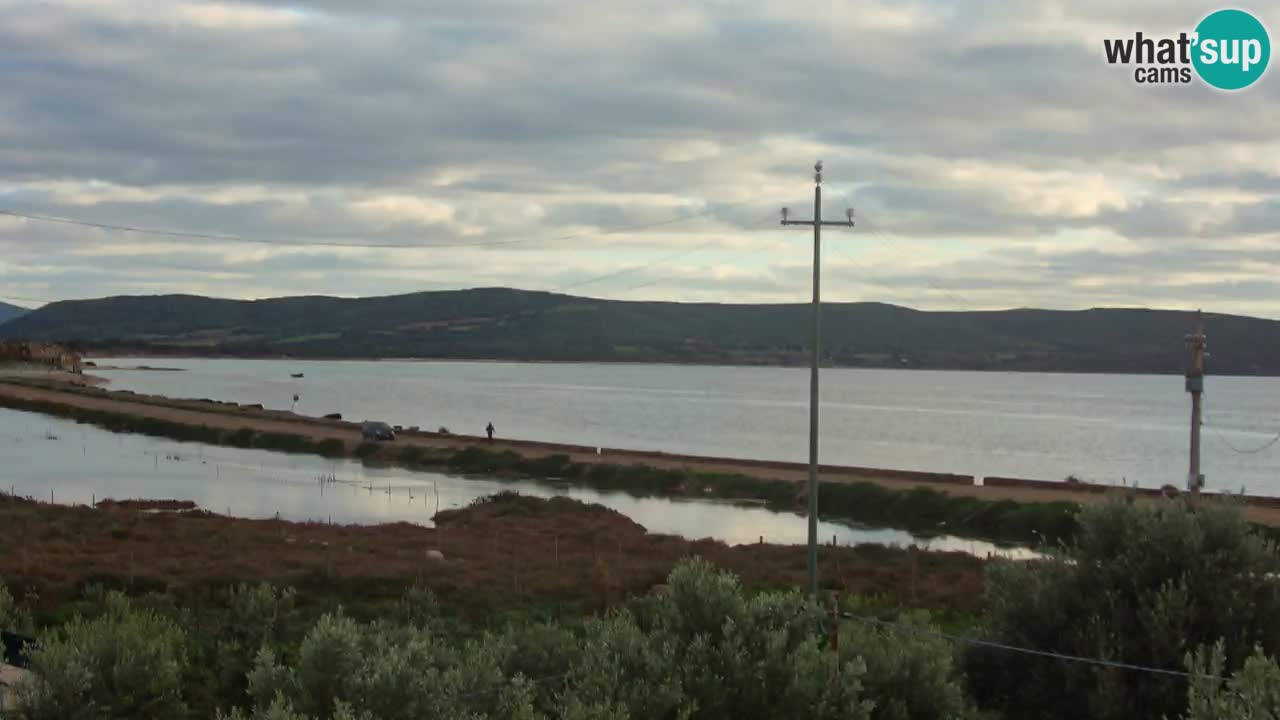 Strand Porto Botte webcam | Sardinien