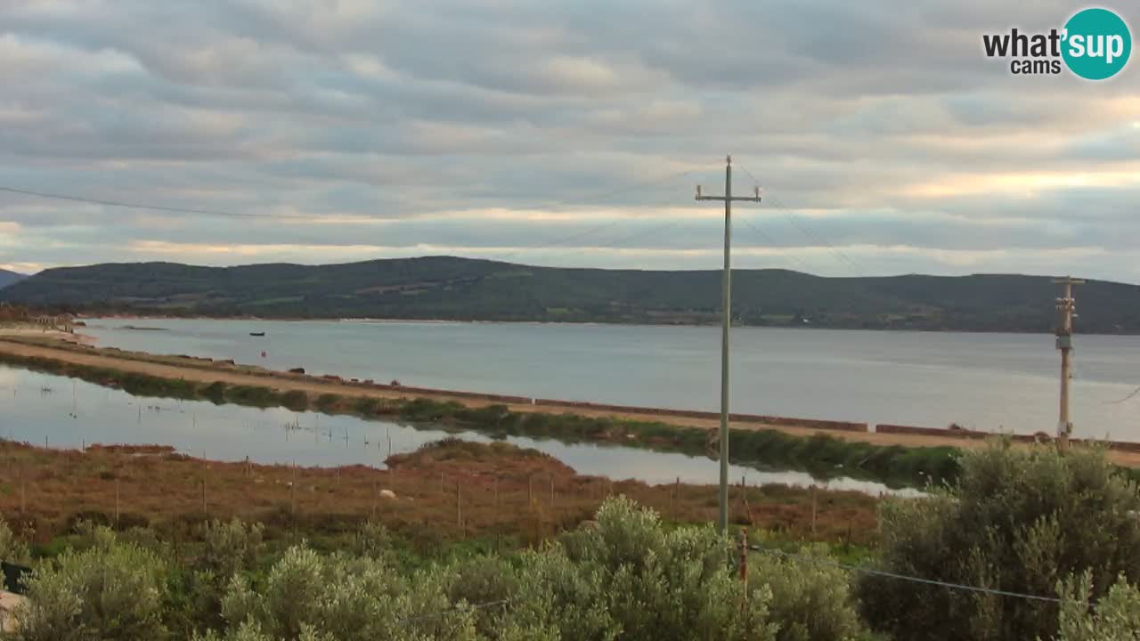 Strand Porto Botte webcam | Sardinien