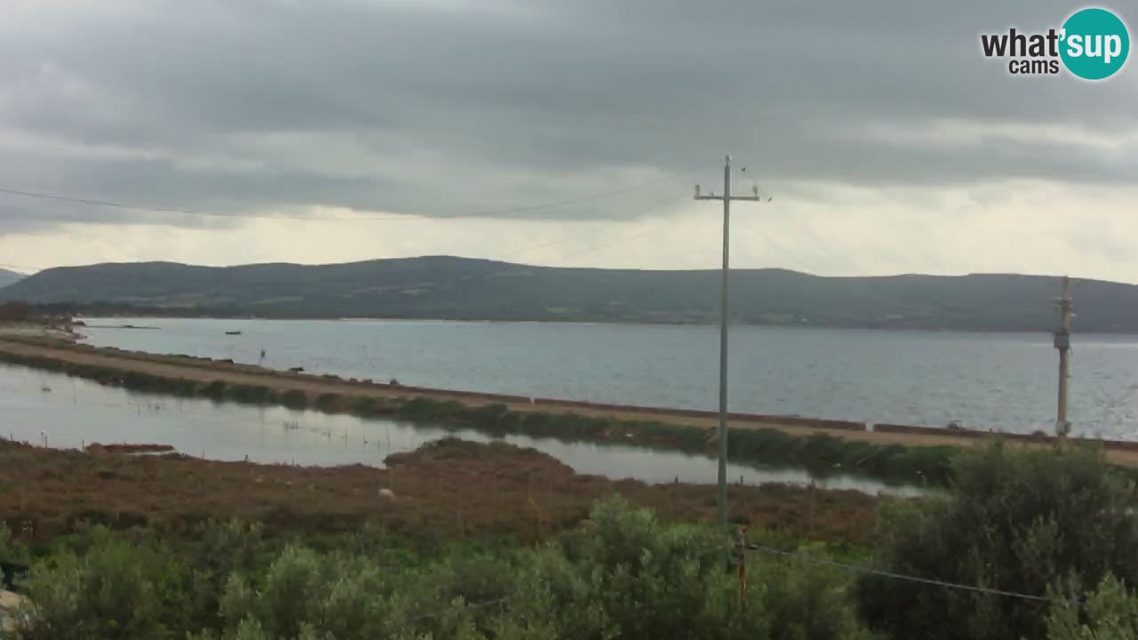 Playa Porto Botte webcam | Cerdena