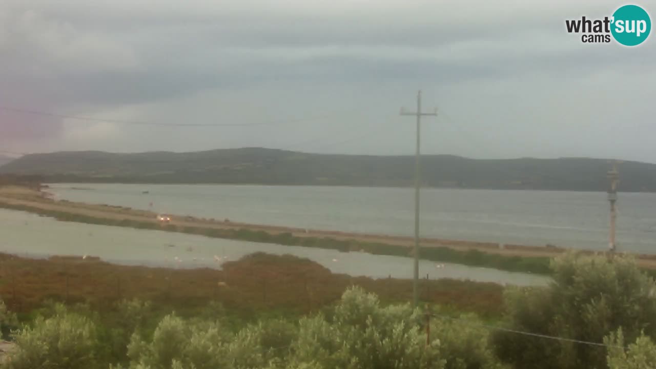 Plage Porto Botte webcam | Sardaigne