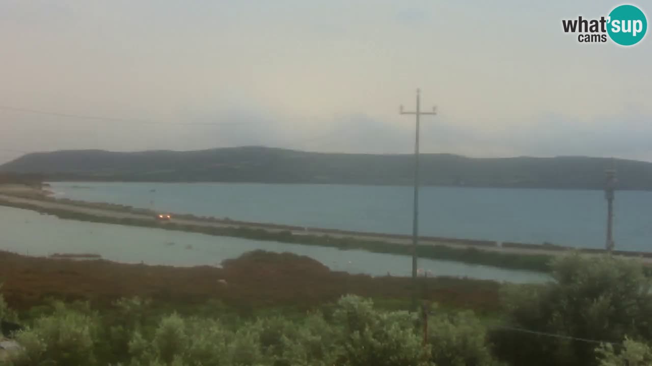 Beach Porto Botte webcam | Sardinia