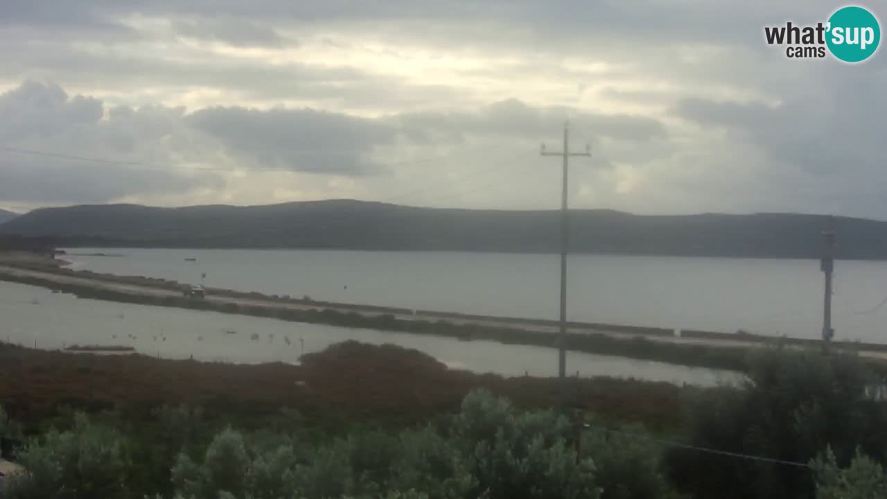 Strand Porto Botte webcam | Sardinien