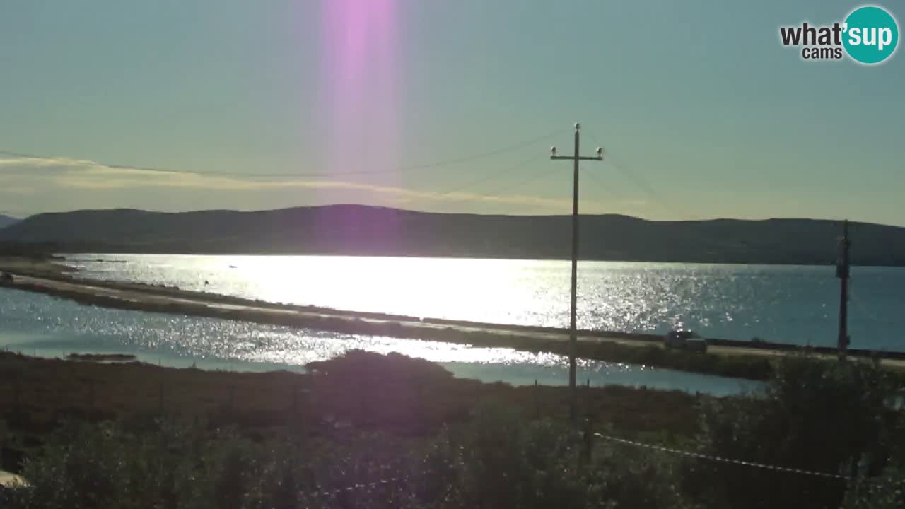 Beach Porto Botte webcam | Sardinia