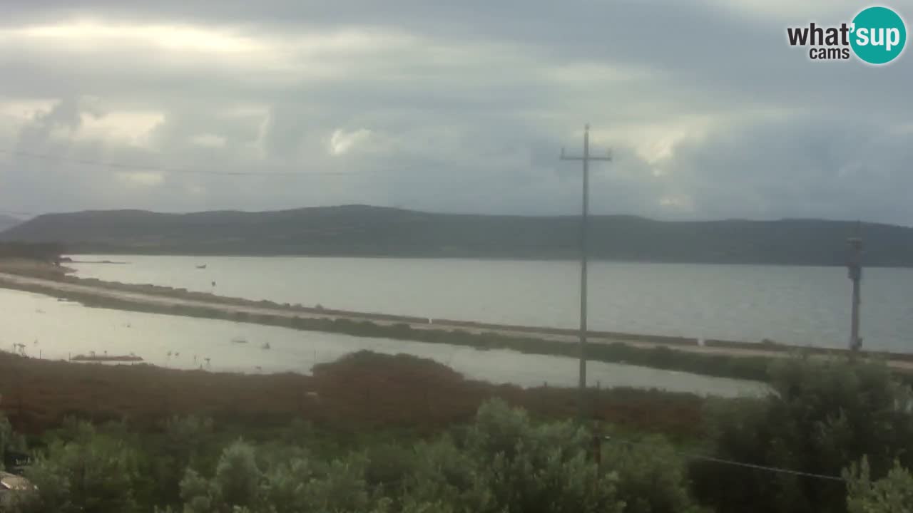 Strand Porto Botte webcam | Sardinien