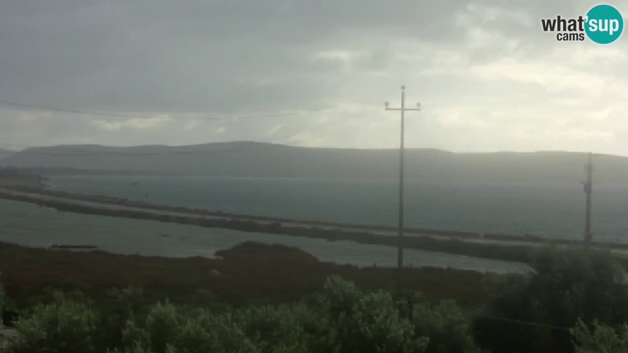 Beach Porto Botte webcam | Sardinia