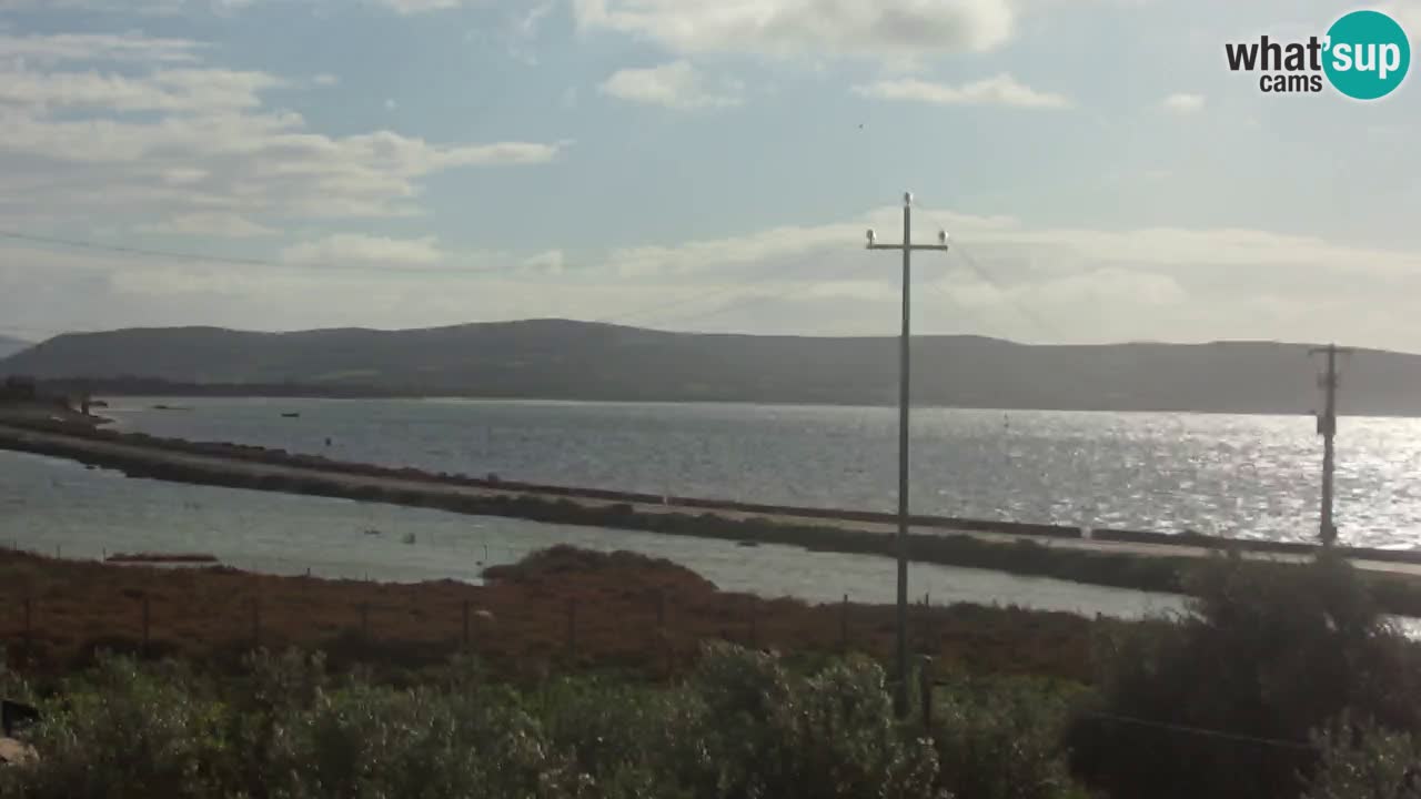 Playa Porto Botte webcam | Cerdena