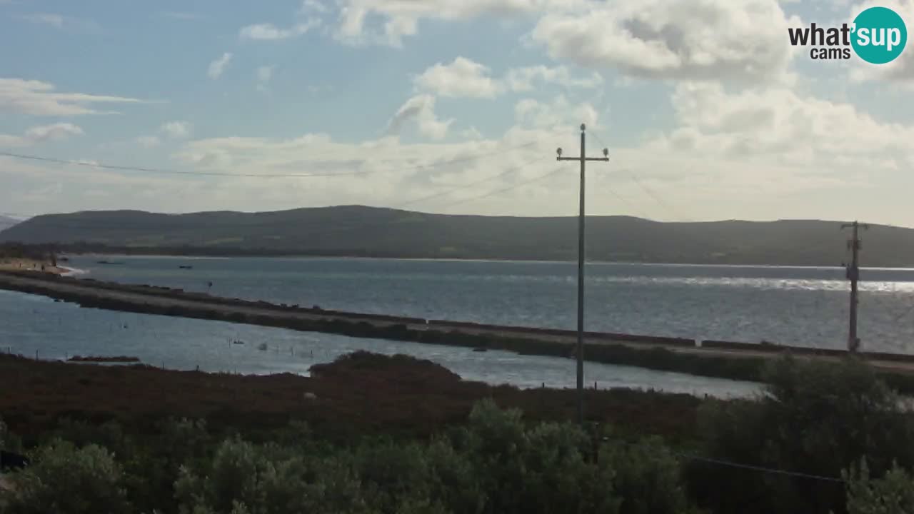 Strand Porto Botte webcam | Sardinien