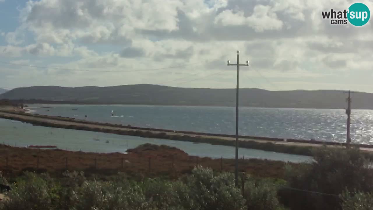 Beach Porto Botte webcam | Sardinia