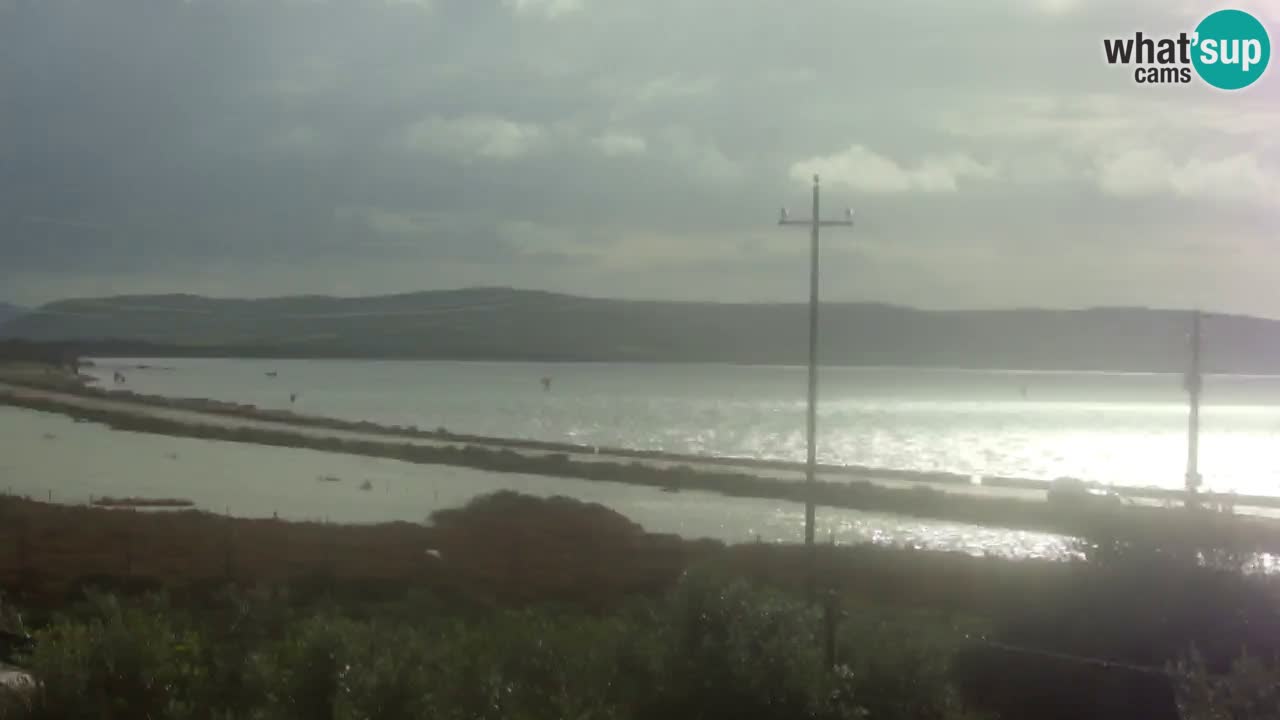 Plage Porto Botte webcam | Sardaigne