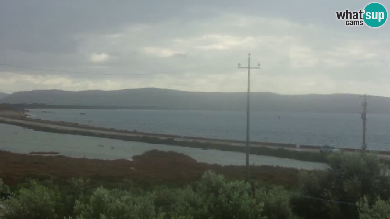 Beach Porto Botte webcam | Sardinia