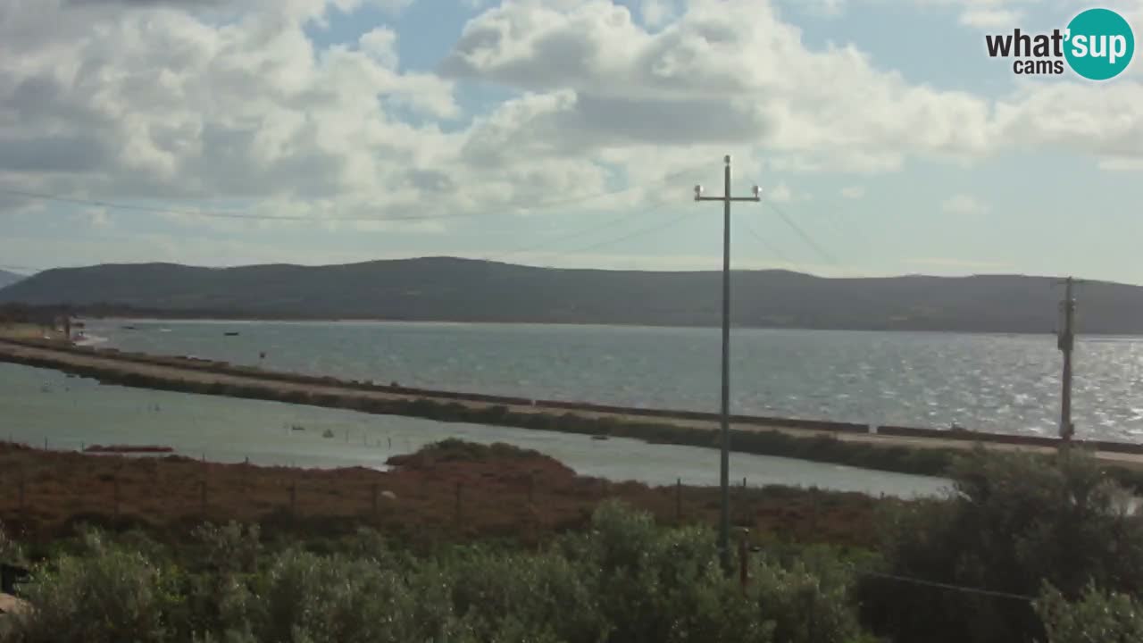 Strand Porto Botte webcam | Sardinien