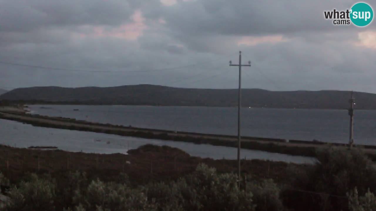 Beach Porto Botte webcam | Sardinia