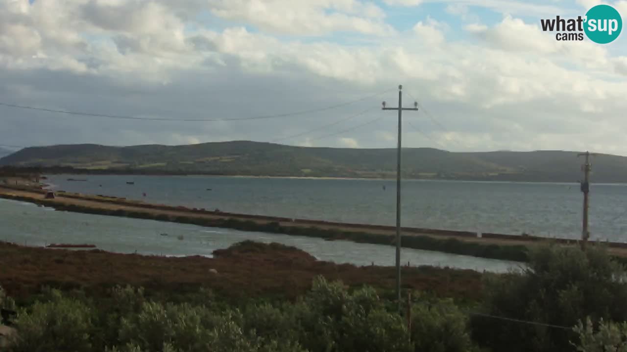 Playa Porto Botte webcam | Cerdena