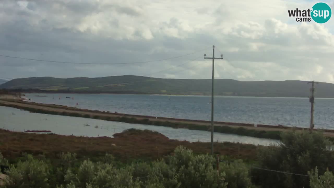 Plage Porto Botte webcam | Sardaigne